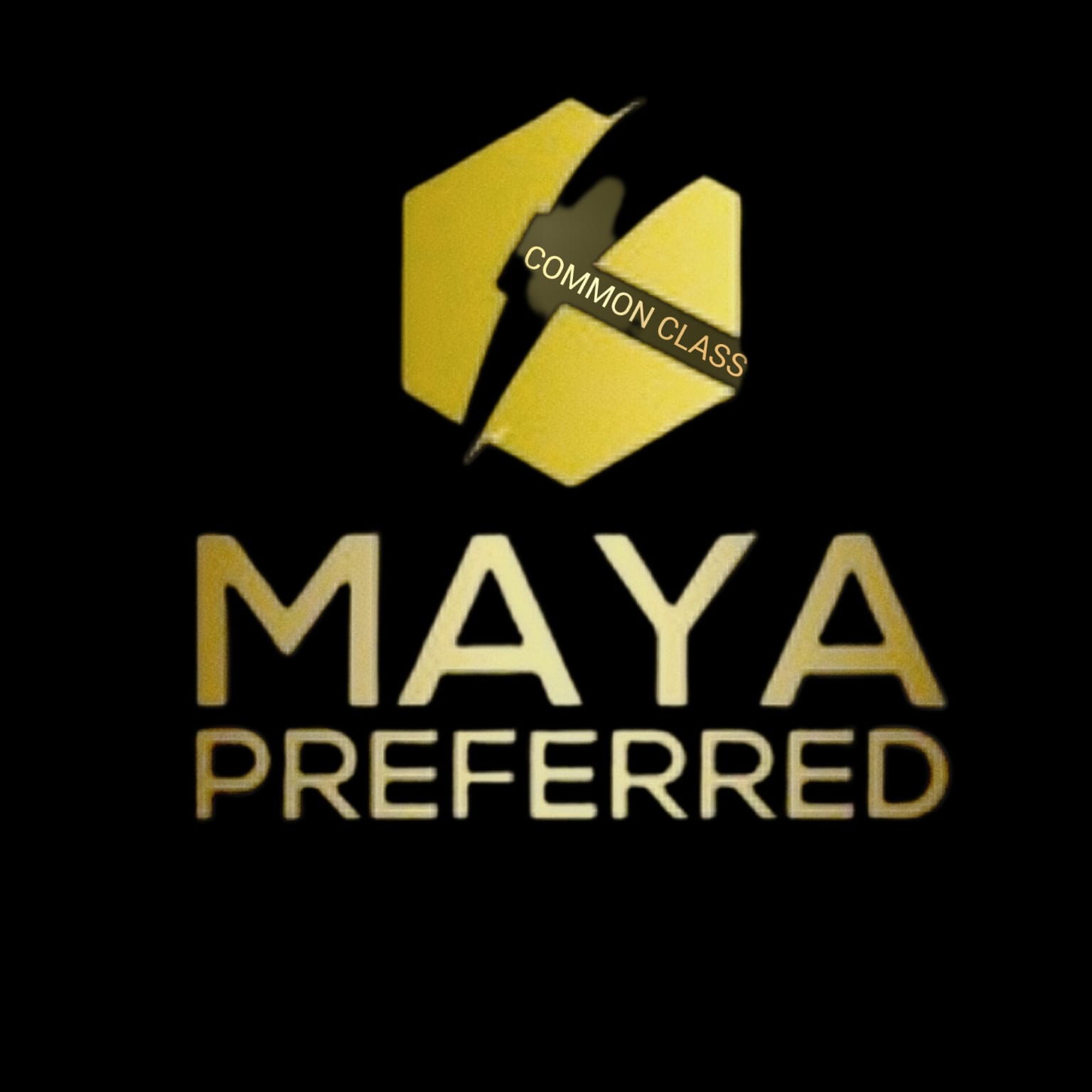 Maya Transparency Portal Logo